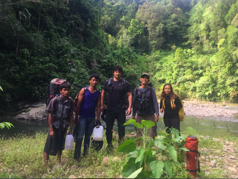 Tigers Discovered In Hidden Forest