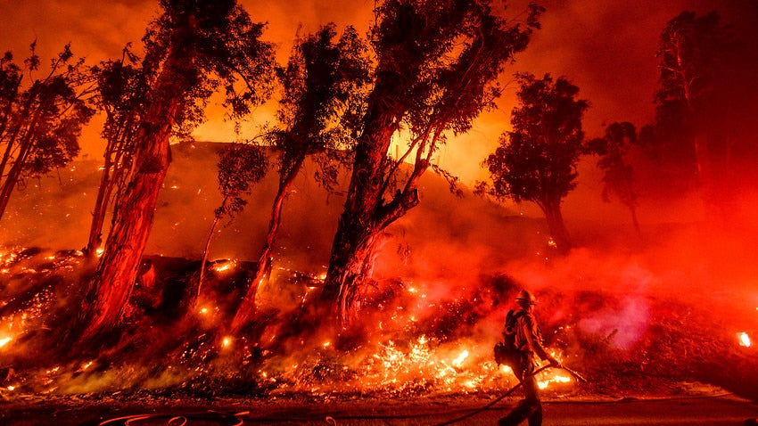 11,000 scientists from around the world unite to declare global climate emergency