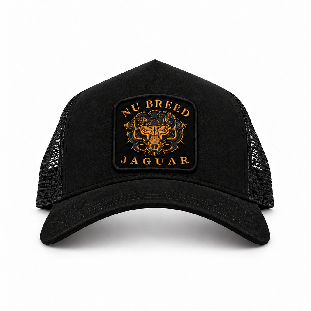 Jaguar Black V1 Coming Soon